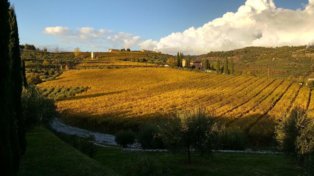 B&B Villa Roncatti Parona di Valpolicella Exterior photo